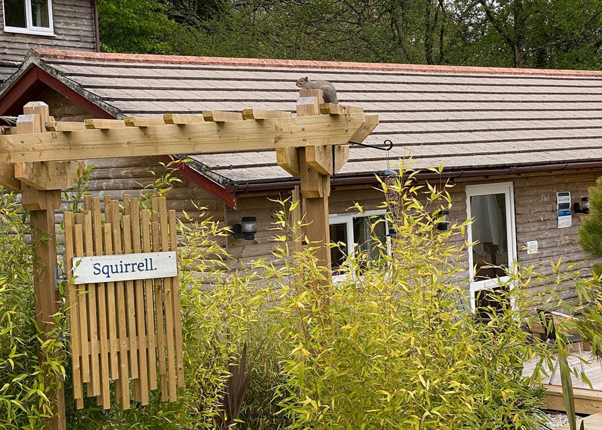 Ivyleaf Combe Lodges Stratton  외부 사진